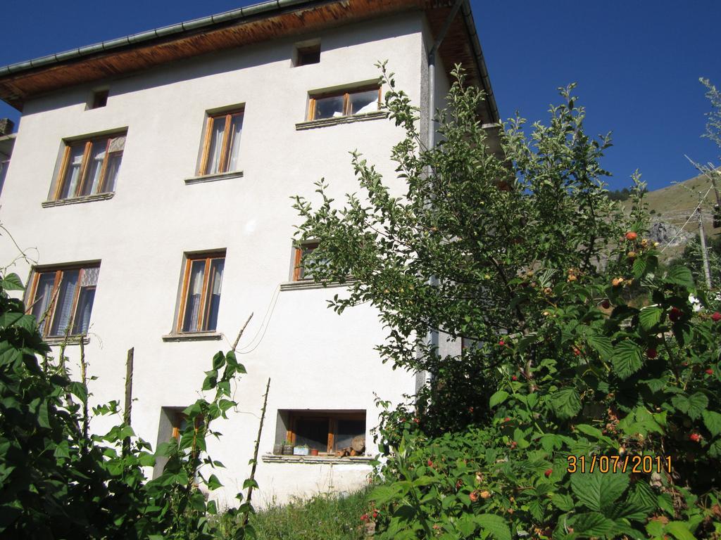Kristal Guest House Trigrad Εξωτερικό φωτογραφία